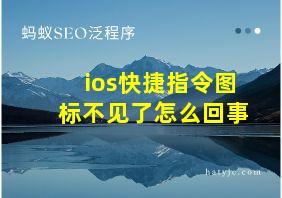 ios快捷指令图标不见了怎么回事