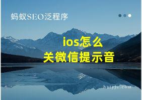 ios怎么关微信提示音