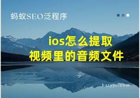 ios怎么提取视频里的音频文件