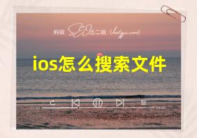 ios怎么搜索文件