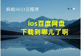 ios百度网盘下载到哪儿了啊