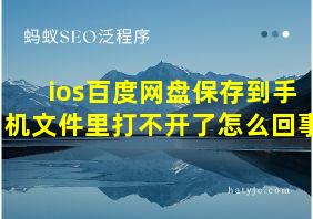 ios百度网盘保存到手机文件里打不开了怎么回事