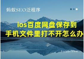 ios百度网盘保存到手机文件里打不开怎么办