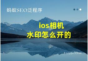 ios相机水印怎么开的