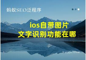 ios自带图片文字识别功能在哪