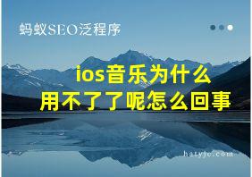 ios音乐为什么用不了了呢怎么回事