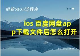 ios 百度网盘app下载文件后怎么打开