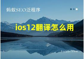 ios12翻译怎么用