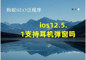 ios12.5.1支持耳机弹窗吗