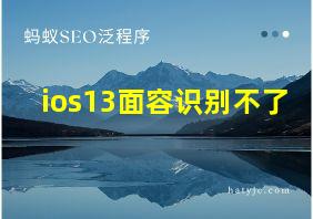 ios13面容识别不了