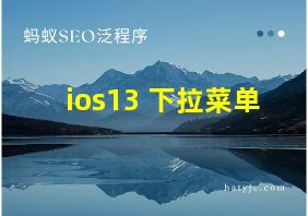 ios13 下拉菜单