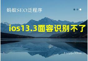 ios13.3面容识别不了