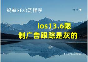 ios13.6限制广告跟踪是灰的