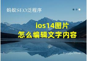 ios14图片怎么编辑文字内容