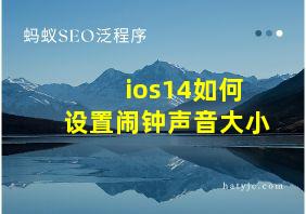 ios14如何设置闹钟声音大小