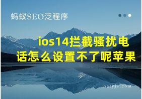 ios14拦截骚扰电话怎么设置不了呢苹果