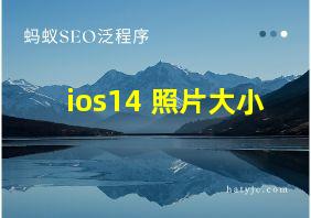 ios14 照片大小