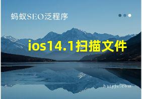 ios14.1扫描文件