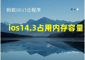 ios14.3占用内存容量