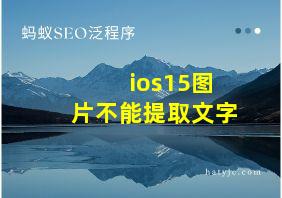 ios15图片不能提取文字