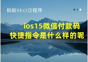 ios15微信付款码快捷指令是什么样的呢