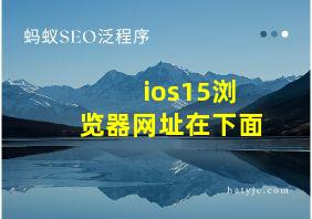 ios15浏览器网址在下面