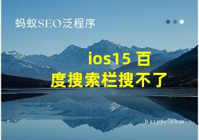 ios15 百度搜索栏搜不了