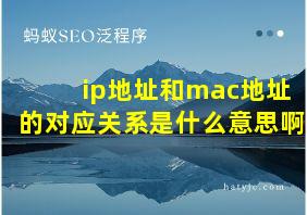 ip地址和mac地址的对应关系是什么意思啊