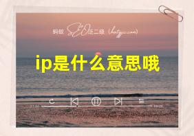 ip是什么意思哦