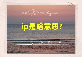 ip是啥意思?