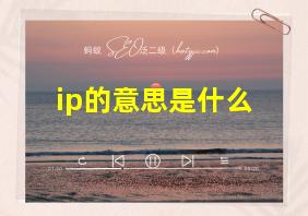 ip的意思是什么