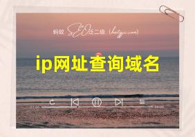 ip网址查询域名