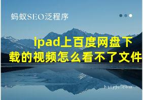 ipad上百度网盘下载的视频怎么看不了文件