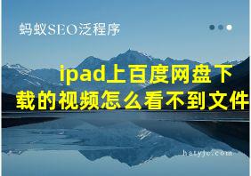 ipad上百度网盘下载的视频怎么看不到文件