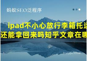 ipad不小心放行李箱托运了还能拿回来吗知乎文章在哪看