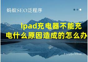 ipad充电器不能充电什么原因造成的怎么办