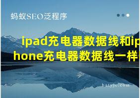 ipad充电器数据线和iphone充电器数据线一样吗