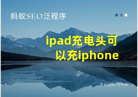 ipad充电头可以充iphone