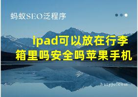 ipad可以放在行李箱里吗安全吗苹果手机