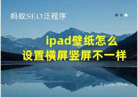 ipad壁纸怎么设置横屏竖屏不一样