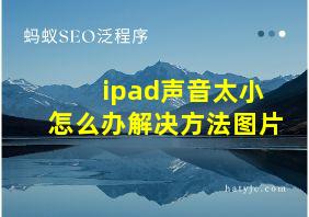 ipad声音太小怎么办解决方法图片