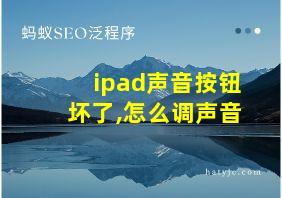 ipad声音按钮坏了,怎么调声音