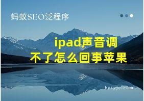 ipad声音调不了怎么回事苹果