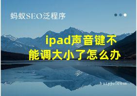 ipad声音键不能调大小了怎么办