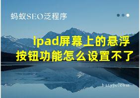 ipad屏幕上的悬浮按钮功能怎么设置不了