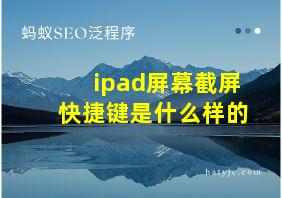 ipad屏幕截屏快捷键是什么样的