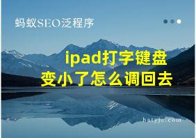 ipad打字键盘变小了怎么调回去