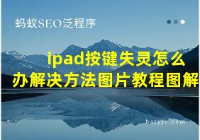 ipad按键失灵怎么办解决方法图片教程图解