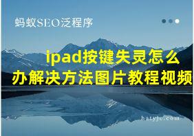 ipad按键失灵怎么办解决方法图片教程视频