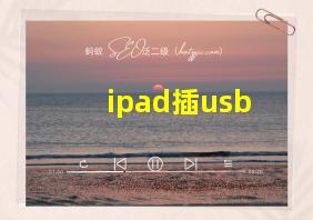 ipad插usb